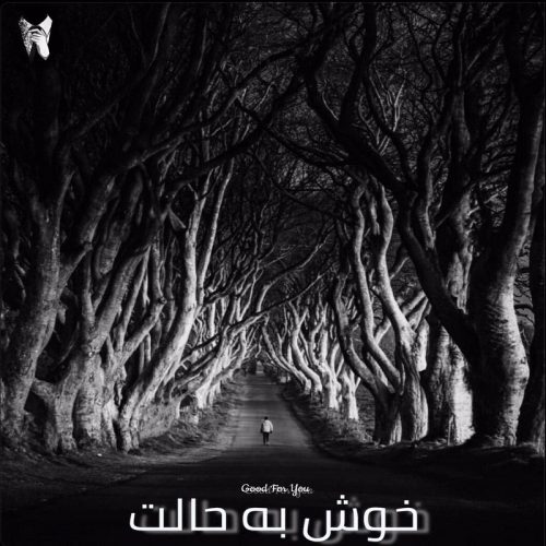 دانلود آهنگ ذهن خوش به حالت